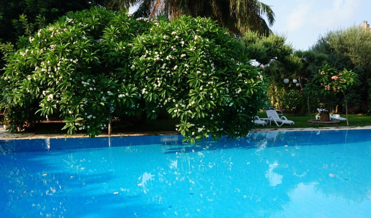Megna - Paradise Bed & Breakfast