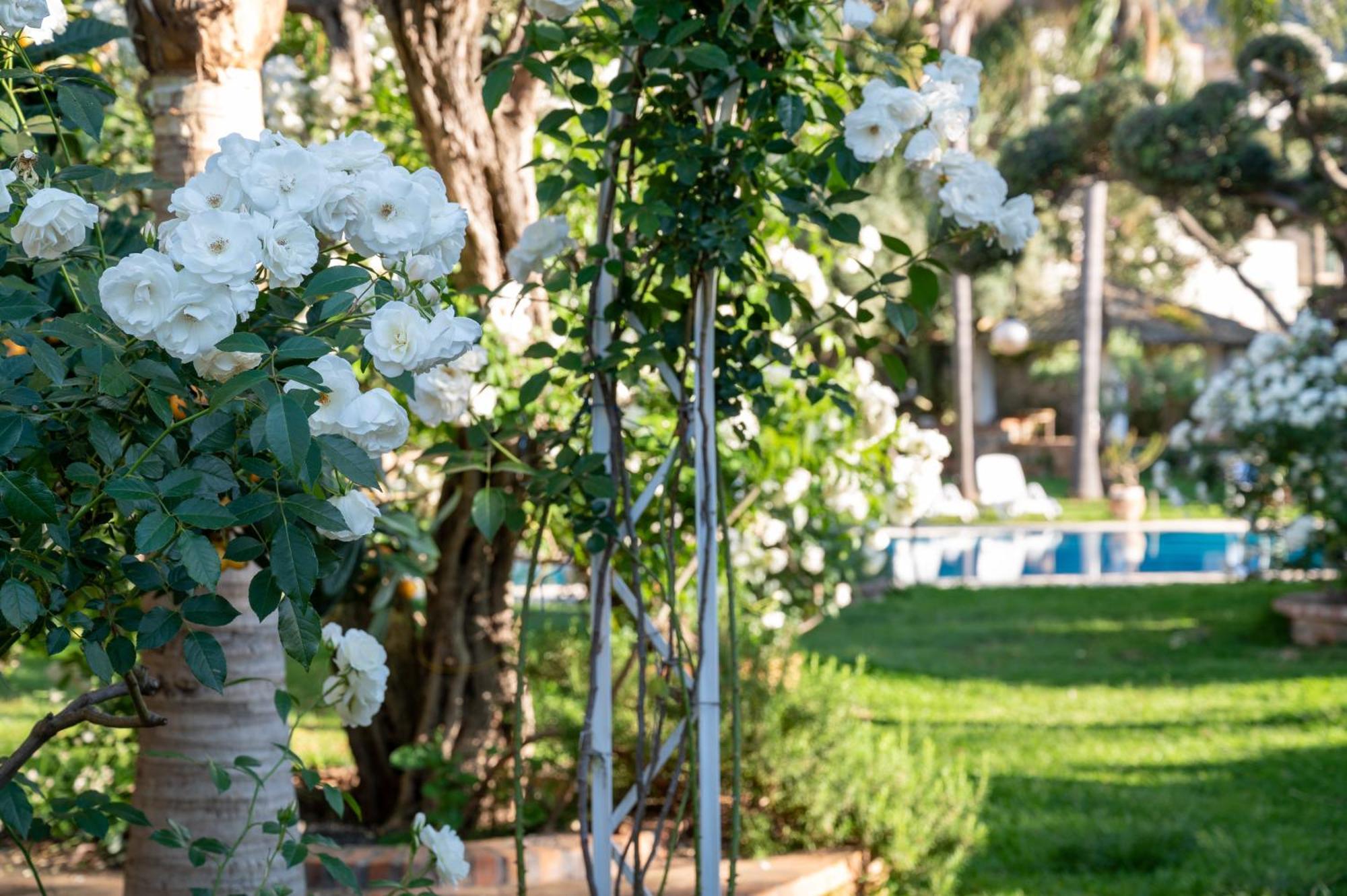 Megna - Paradise Bed & Breakfast *